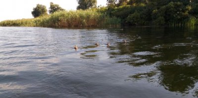 Рыбалка на базе отдыха «У Панночки»