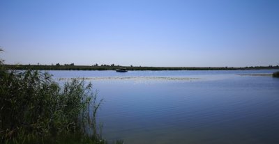 Рыбалка на базе отдыха «У Панночки»