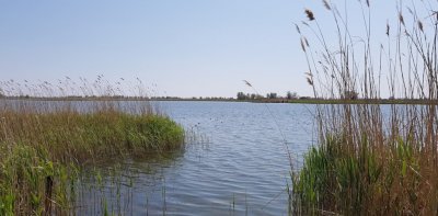 Рыбалка на базе отдыха «У Панночки»