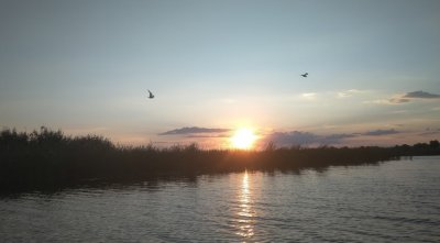 Рыбалка на базе отдыха «У Панночки»