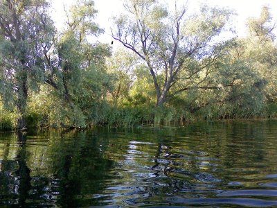 Рыбалка на базе отдыха «У Панночки»