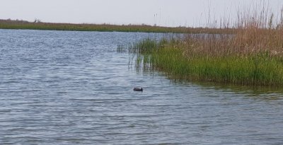 Рыбалка на базе отдыха «У Панночки»