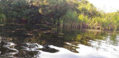 Рыбалка на базе отдыха «У Панночки»