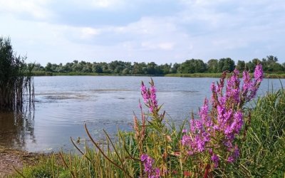 Рыбалка на Базе отдыха «Збурьевский Кут»
