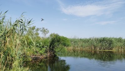 Рыбалка на безе отдыха «Чайка»