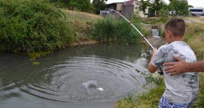 Риболовля на «Форелевій фермі» в Запорізькій області
