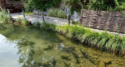 Риболовля на «Форелевій фермі» в Запорізькій області