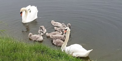 Рибалка на Німецькому озері 