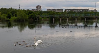 Рибалка на Німецькому озері 