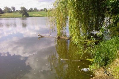 Рыбалка на озере «Белый Амур»