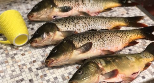 Рыбалка на озере Бердихов во Львовской области