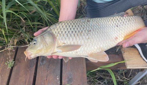 Риболовля на озері Озеро «aFrame» у Київській області