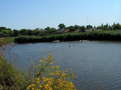Рыбалка на озере «Петропавловка»