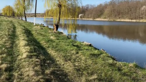 Рибалка на озері Новий Стан у с. Кунка, Вінницька область