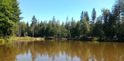 Рыбалка на озере «Водограй»
