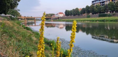 Риболовля на річці Тиса