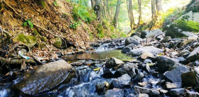 Риболовля на річці Тиса