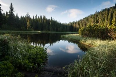 Риболовля на річці Тиса