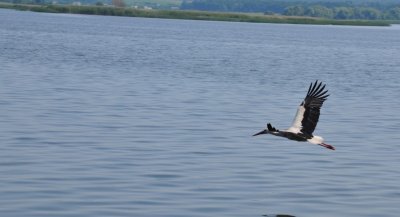 Рыбалка на Рогозянском водохранилище
