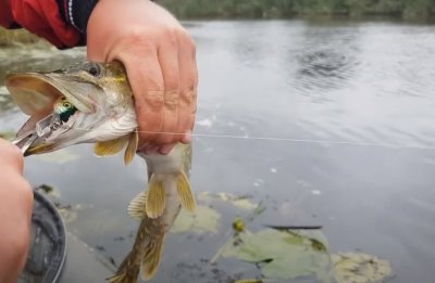 Рыбалка на Ставке в с. Кривоносово