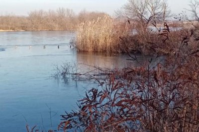 Рыбалка на Ставке в с. Кривоносово