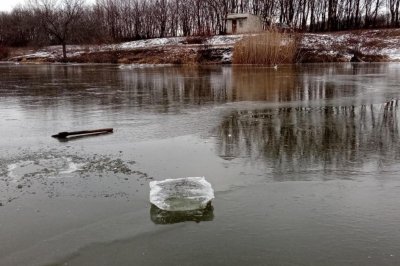 Рыбалка на Ставке в с. Кривоносово