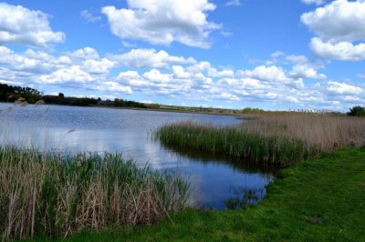 Рыбалка на ставке в селе Поселяновка
