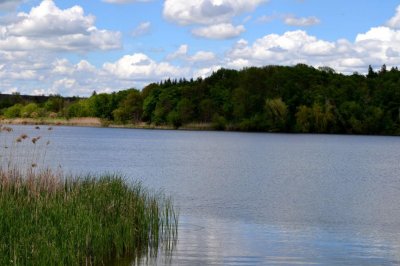 Рыбалка на ставке в селе Поселяновка