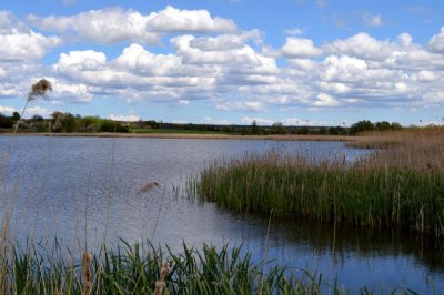 Рыбалка на ставке в селе Поселяновка