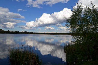 Рыбалка на ставке в селе Поселяновка