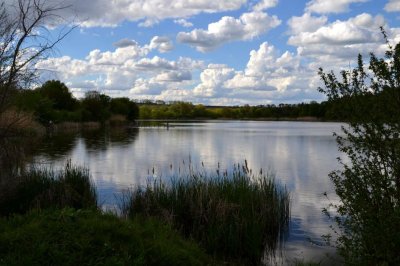 Рыбалка на ставке в селе Поселяновка