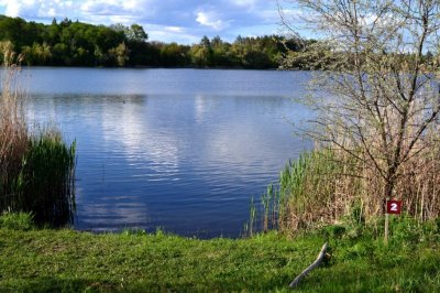 Рыбалка на ставке в селе Поселяновка