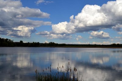 Рыбалка на ставке в селе Поселяновка