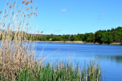 Рыбалка на ставке в селе Поселяновка