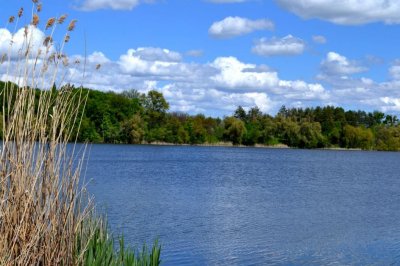 Рыбалка на ставке в селе Поселяновка