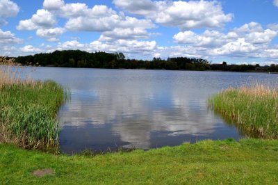Рыбалка на ставке в селе Поселяновка