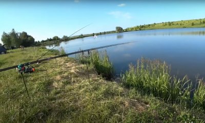 Рибалка на водоймі у с. Бортники