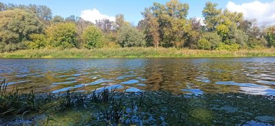 Рыбалка на водоеме в селе Бровково