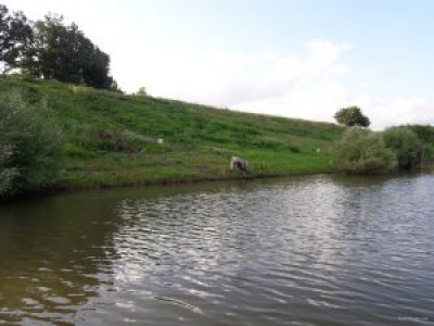Рыбалка на водоеме в селе Бровково