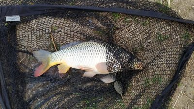 Рыбалка на водоеме в селе Бровково