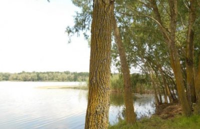 Рыбалка на водоеме «Васильевская Балка»