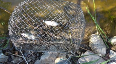 Рыбалка на Водохранилище Бешка 