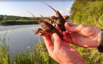 Рыбалка на «Юльевском» 
