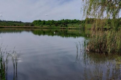 Рыбалка у Сан-Саныча