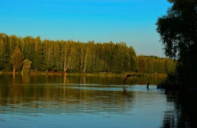 Рыбалка на водоеме в селе Дорофеевка