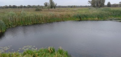 Рыбалка в селе Количевка 