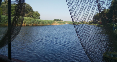 Рибальська база «Дніпровська затока» у Черкаській області 