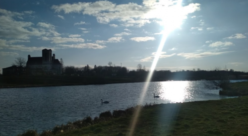 Рибацька база «Тихе Плесо» у Львівській області