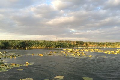 Рыбацкая база «У ЮРЫ »