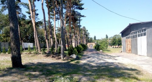 Риболовля на базі відпочинку «Темп» у Черкаській області